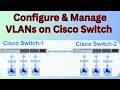Cisco VLAN Configuration &amp; Management Complete Beginner Guide