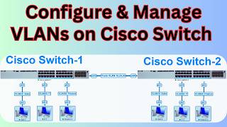 Cisco VLAN Configuration &amp; Management Complete Beginner Guide