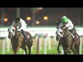 RM 2 Al Rayyan Race 3 - Al Hamla Cup