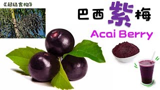 Acai Berry 巴西紫莓：吃之前 3 大必知要点！