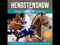 Hengstenshow hengstenhouderij van uytert 2024