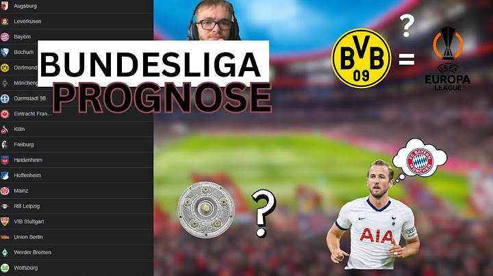 Meine Bundesliga Saison Prognose 2023/2024✨