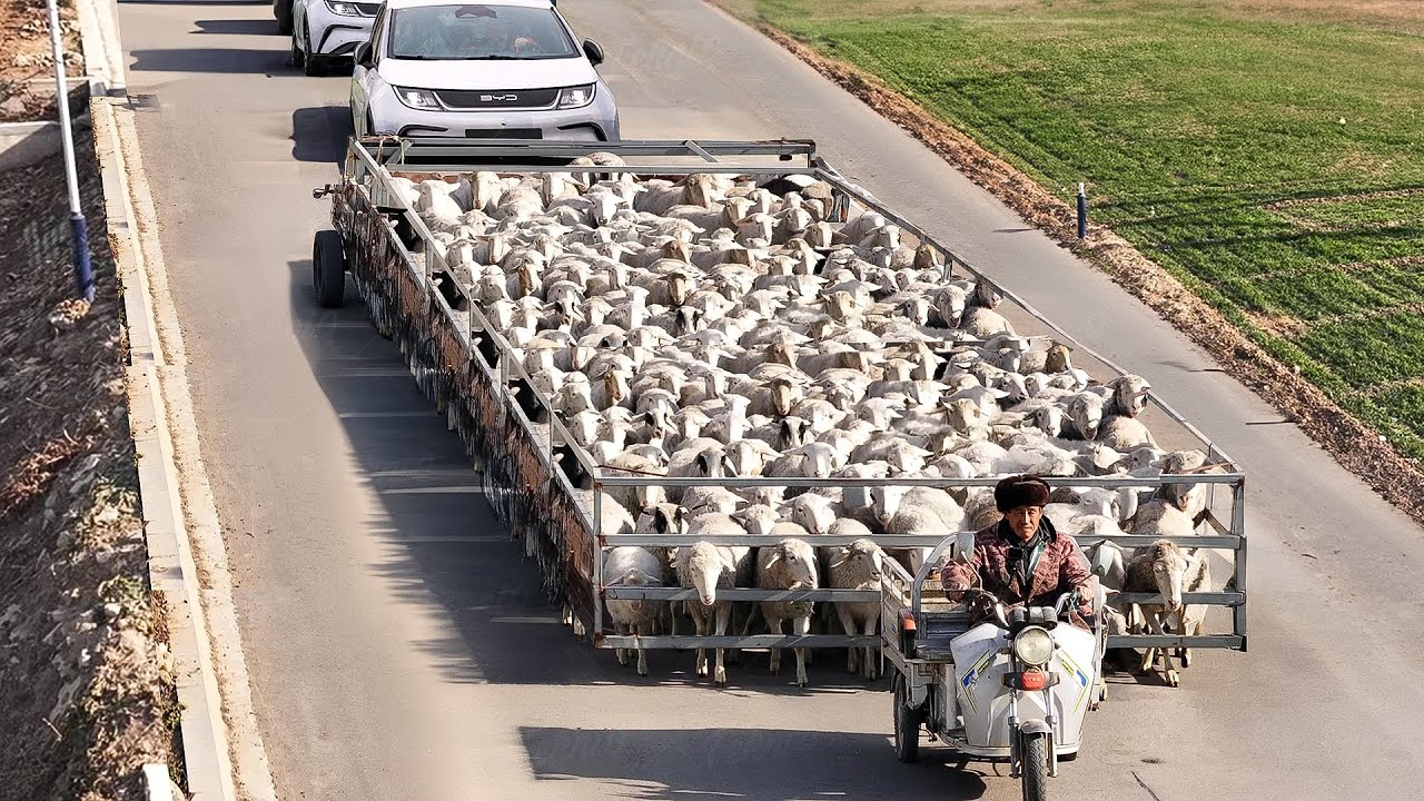 No One Expected this Poor Chinese Farmer to Invent This