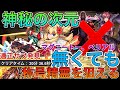 【神秘の次元】マグニートー、ベリアルなし！！ロザリン編成で妖精ゲット！！【パズドラ実況】
