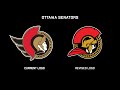 Ottawa senators rebranding