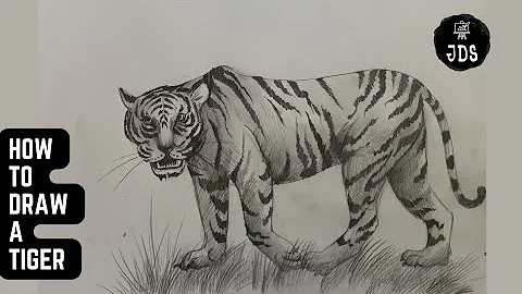 Watch the video about Draw the Royal bengal Tiger| easy technique with pencil shading