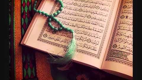 ( سورة البلد ) بصوت الشيخ وديع اليمني