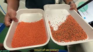 Colors  Sorter For Red Lentils