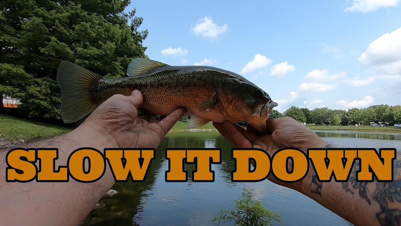 bass fishing