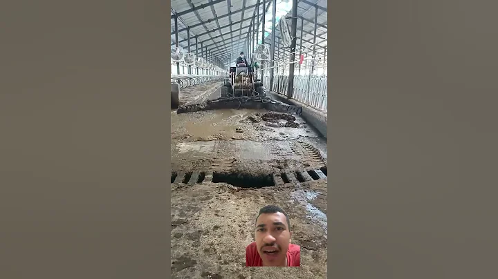 It is a good idea for livestock farms to build biogas digesters to ferment manure to get biogas !