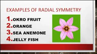 Body Symmetry and Orientation- Biology SHS 1