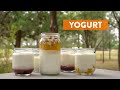 Curso de Conservas, Confituras y Productos Lácteos: Yogur Casero