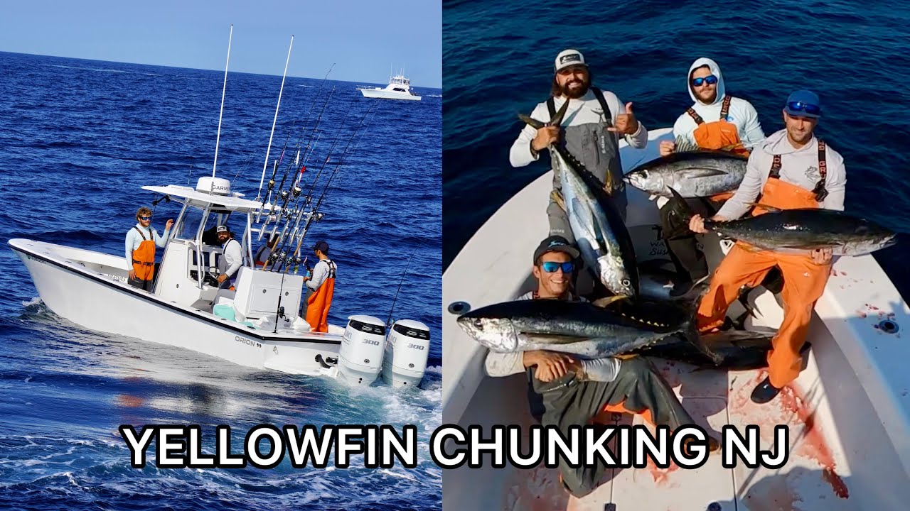 Yellowfin chunking NJ