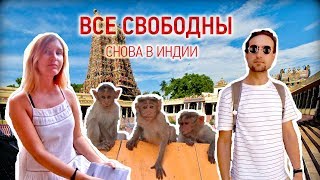 Все свободны снова в Индии Все свободны снова в Индии
