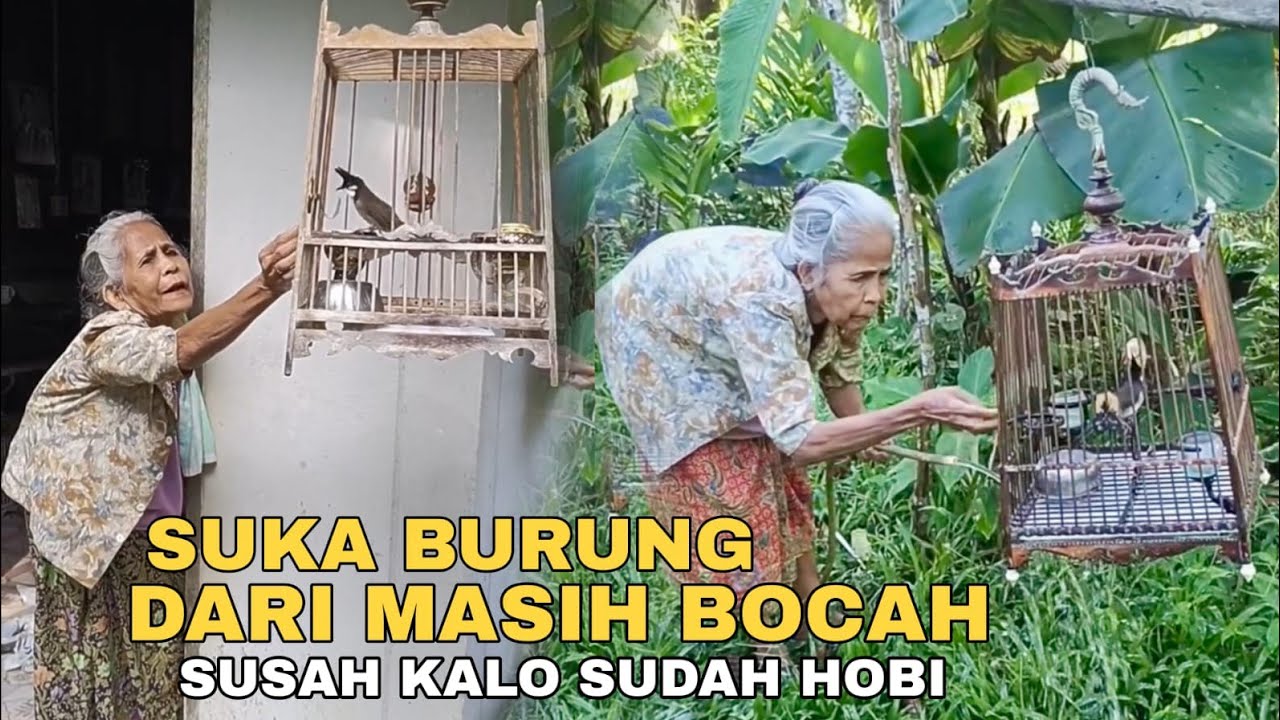 Manfaat Pelihara Burung yang Jarang di Ketahui Banyak Orang