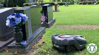 My Goat Working In Cemetery