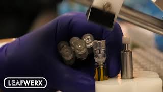 Single Source Production with Leafwerx & Full Spec