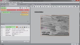 Amira-Avizo How To | Set resolution from scale bar
