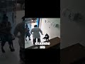 Smartest Stray Dog Asks Vet For Help (Emotional)
