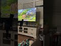 POV your cat likes to watch tv