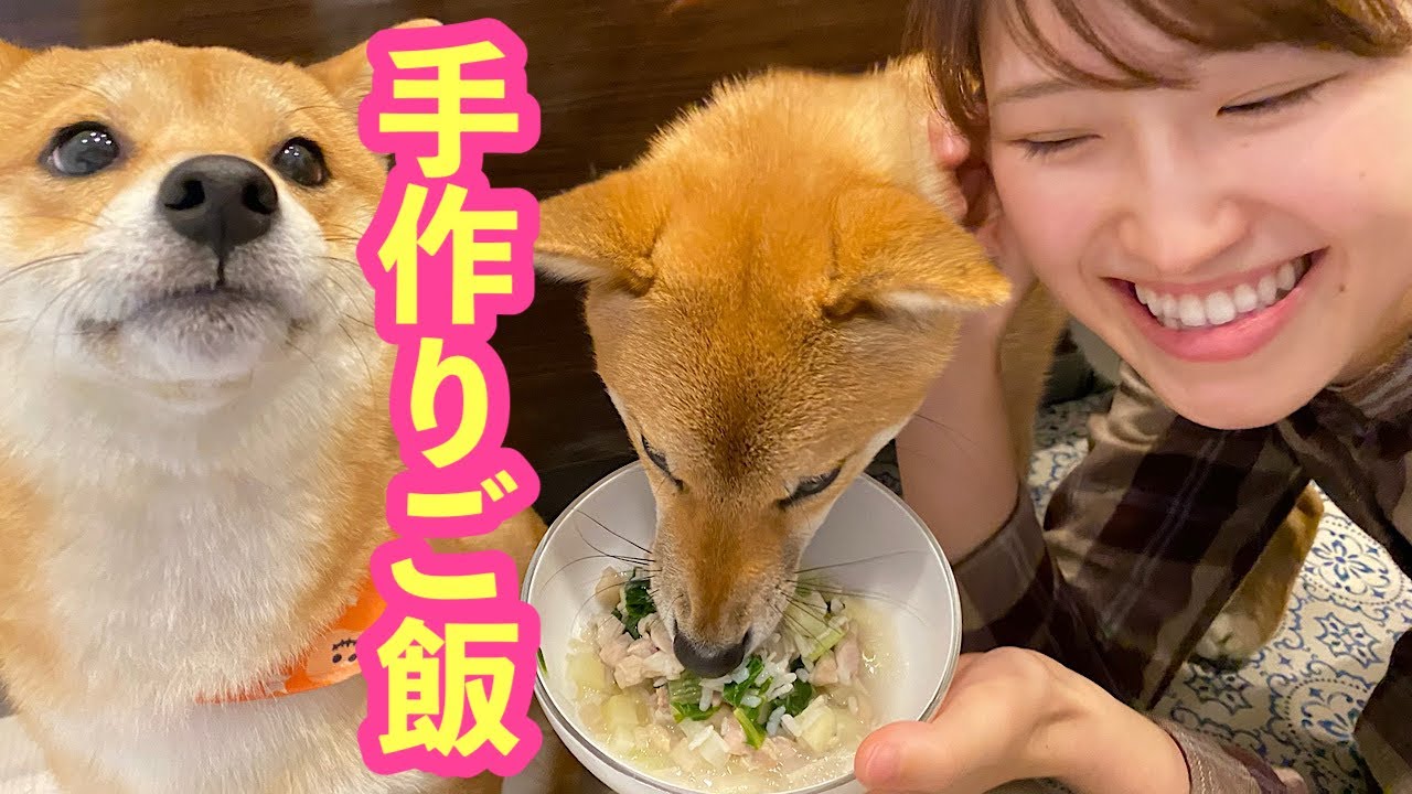 豆柴姉弟に秋の長生き犬ごはん作ってみた Youtube 豆柴姉弟に秋の長生き犬ごはん作ってみた Youtube