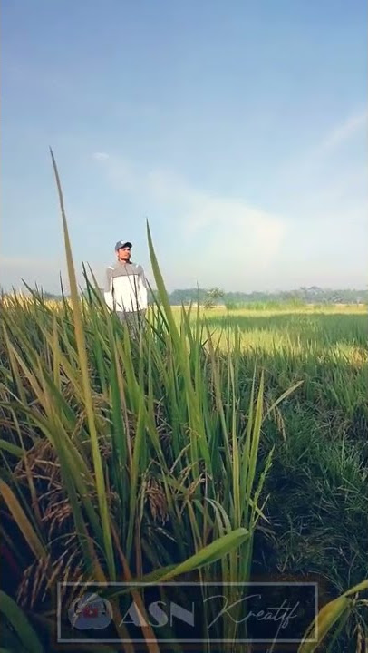 Yang Terdalam X Sakit Gigi (Parody Noah) Versi Desa Yang Terjatuh