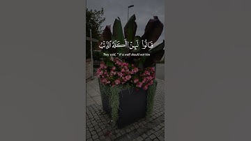 قران كريم بصوت جميل جدا ورائع #اكسبلور #راحة_نفسية #اقنباسات #تيك_توك #لايك #دويتو #حالات_واتس