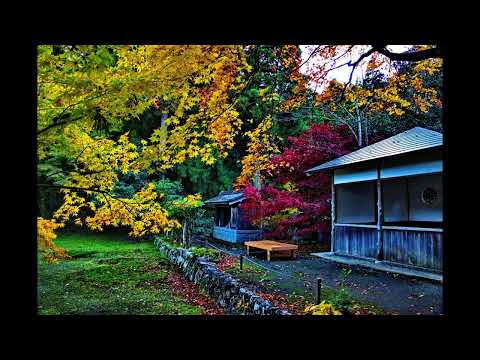 感激を求めて　関西花の寺二十五カ所霊場会 興聖寺(こうしょうじ )16:00頃 2024年11月29日 滋賀県高島市