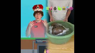 Pov Steal A Brainrot In Ten Years Roblox