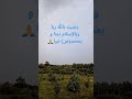 الحمدلله وحده والصلاة والسلام على من لا نبي بعده