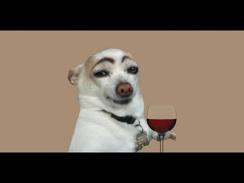 Включи Эти Звуки