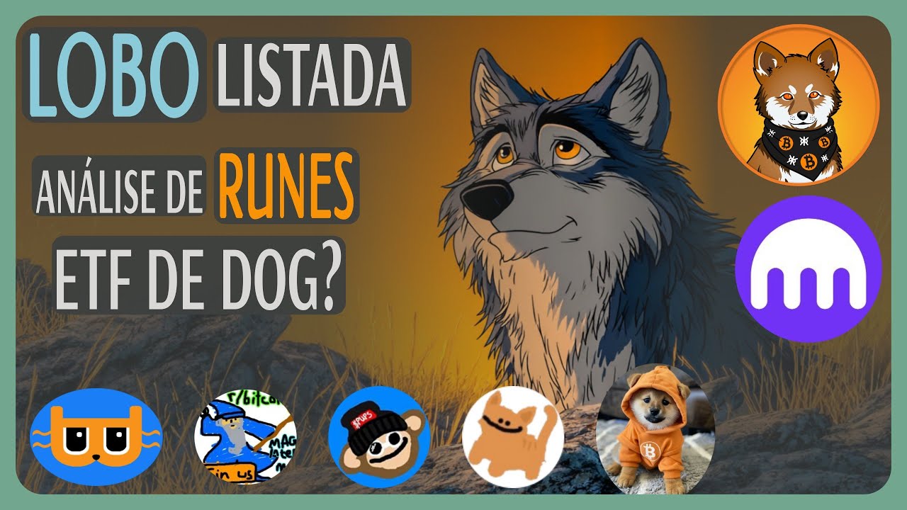 Lobo listada na Kraken. Pode ter ETF de DOG? Runes Billion Dollar Cat e outras.