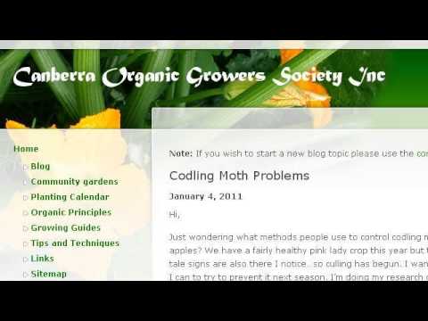 camera iphone 8 plus apk Moth Pheromone Traps And Parrot Illnesses