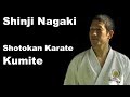 Seminar 31: Shinji Nagaki Kumite Shotokan Karate