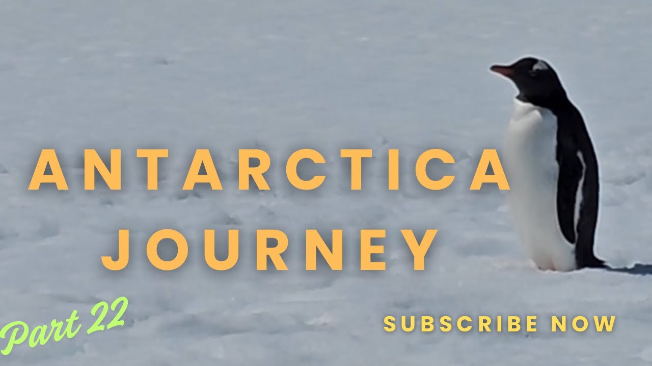 Antarctica Journey (Part 22) Penguins At Antarctica 