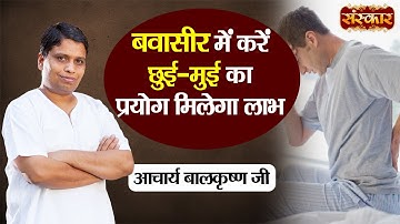 बवासीर में करें छुई-मुई का प्रयोग मिलेगा लाभ | Piles Treatment | Acharya Balkrishna Ji Ke Nuskhe