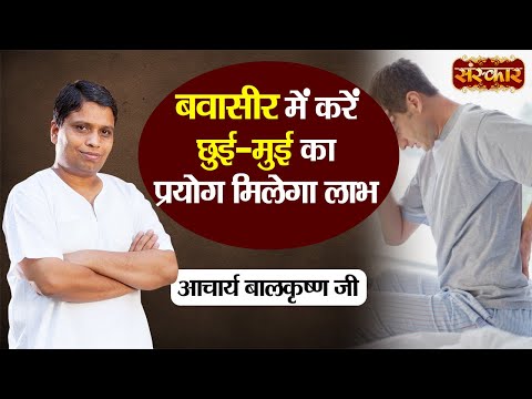 बवासीर में करें छुई-मुई का प्रयोग मिलेगा लाभ | Piles Treatment | Acharya Balkrishna Ji Ke Nuskhe