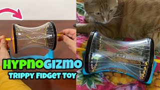Hypnogizmo Tested Trippy Fidget Toy Gadgetify