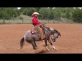 Noise in the Saddle with Hinto -- S09E05 of Ridin' Horses with Kerry Kuhn