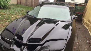 1995 Trans Am Ws6 LT4