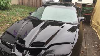 1995 Trans Am Ws6 Lt4