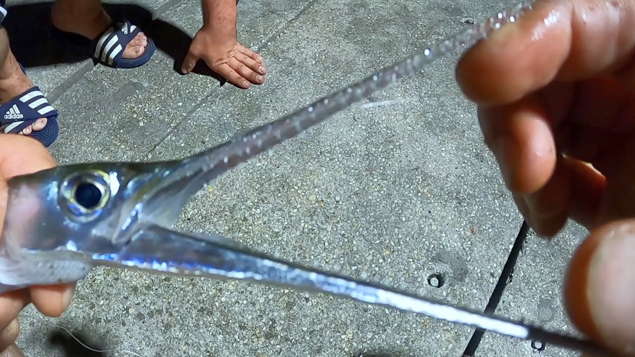 Mixed Bag, Fishing New Orleans YouTube