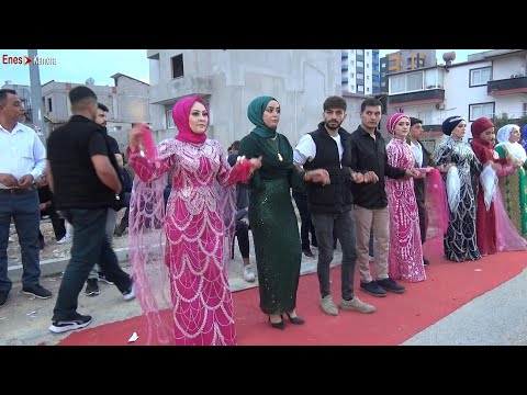 Rekor Kıran Kürtçe Halay 2024 Bomba Grani Ağır Delilo - Wedding Dance