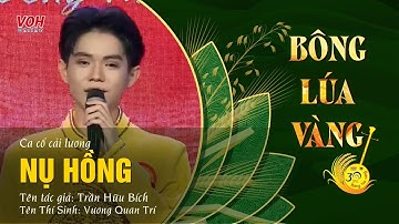 Nụ Hồng - Vương Quan Trí | Bông Lúa Vàng 2025 - Ca cổ cải lương