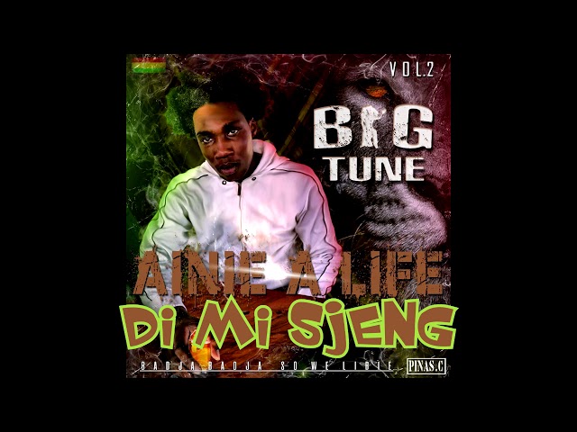 BigTune - Di Mi Sjeng class=