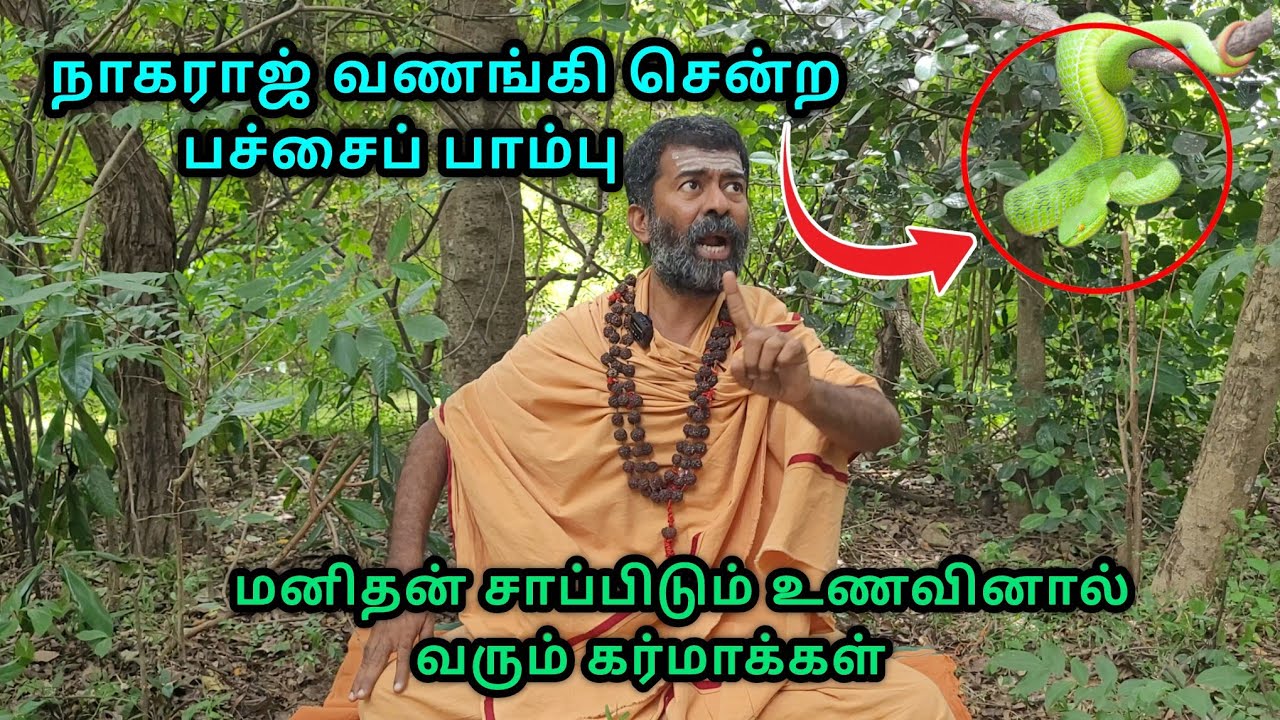 😱சித்தரின் ஜீவ சமாதியில் தவம் செய்தால் நடக்கும் அதிசயம்🙏🕉 | #omgodnagaraj #omgod #tiruvannamalai 