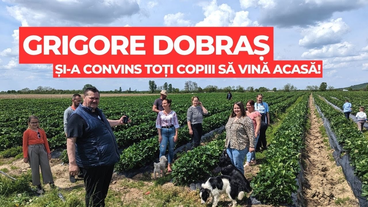 Fermierul Grigore Dobraș a reușit să își aducă toți copiii acasă