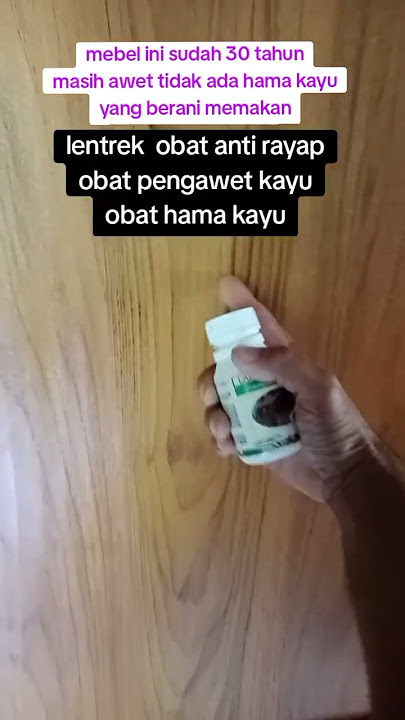 lentrek anti rayap obat hama kayu #lentrek #antirayap shorts