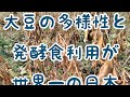 【たねとりYouTuber】在来大豆を守ってゆく