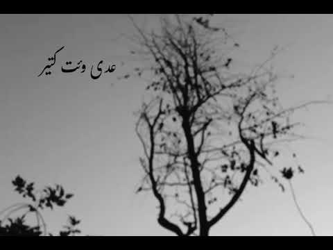 حالات واتساب حزينه حبيبي بعد غيابو عرف قلبي عزابو